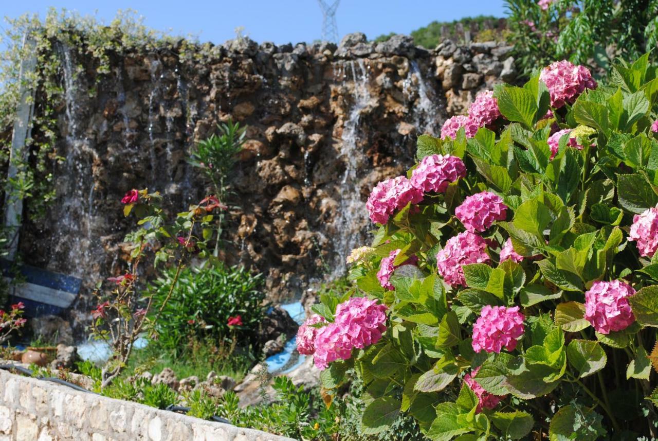 Vervekis Apartments فيسكاردو المظهر الخارجي الصورة